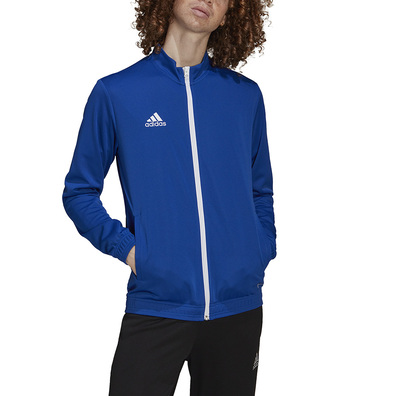 Bluza sportowa Adidas Entrada 22 HG6287